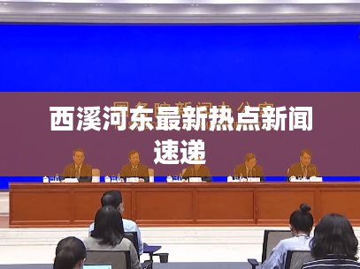 西溪河东最新热点新闻速递