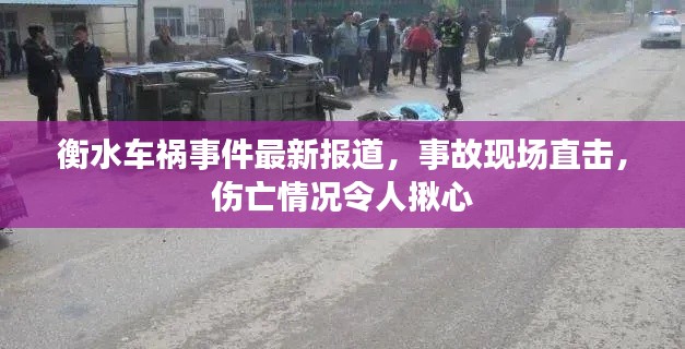 衡水车祸事件最新报道，事故现场直击，伤亡情况令人揪心