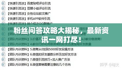 粉丝问答攻略大揭秘，最新资讯一网打尽！