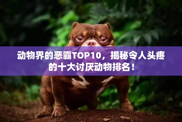 动物界的恶霸TOP10，揭秘令人头疼的十大讨厌动物排名！