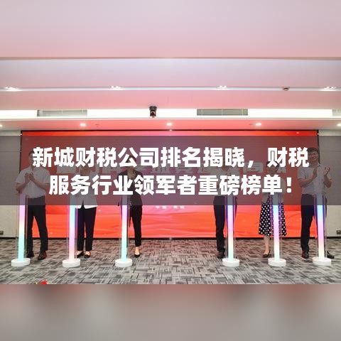 新城财税公司排名揭晓，财税服务行业领军者重磅榜单！