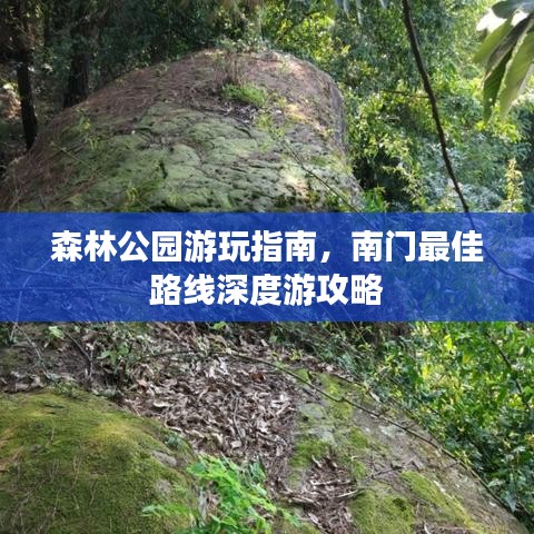 森林公园游玩指南，南门最佳路线深度游攻略