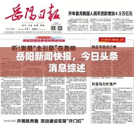 岳阳新闻快报，今日头条消息综述