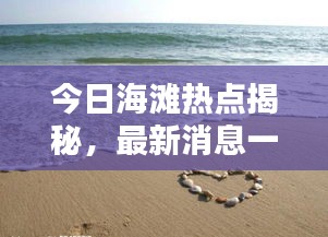 今日海滩热点揭秘，最新消息一网打尽！