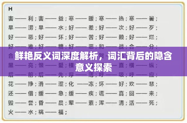 鲜艳反义词深度解析，词汇背后的隐含意义探索