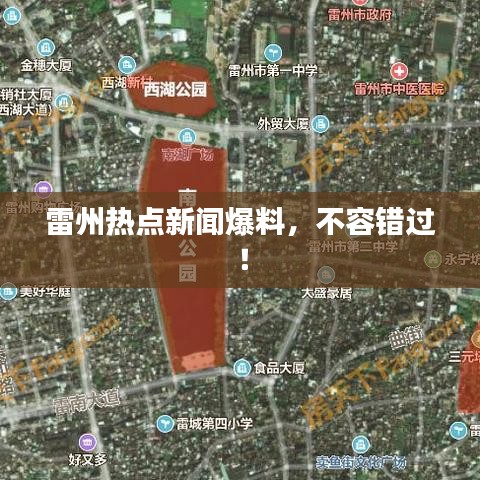 雷州热点新闻爆料，不容错过！