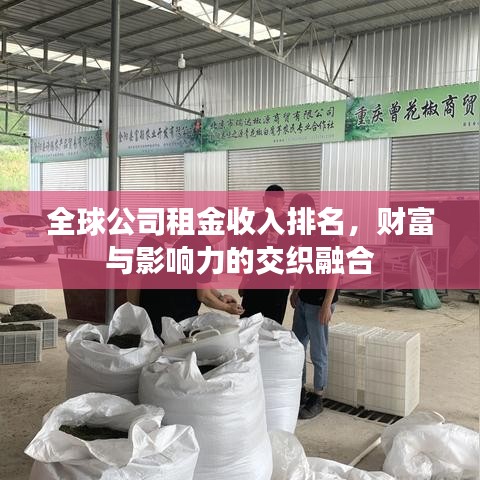 全球公司租金收入排名，财富与影响力的交织融合