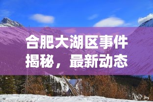 合肥大湖区事件揭秘，最新动态视频，真相探索之旅