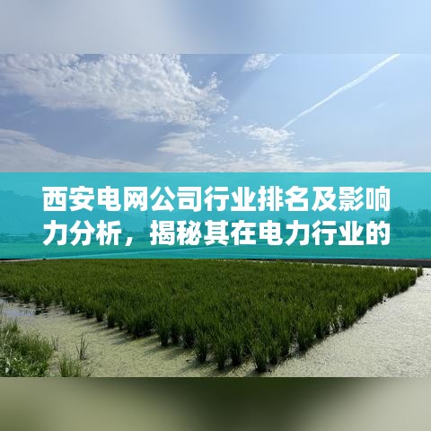 西安电网公司行业排名及影响力分析，揭秘其在电力行业的地位与实力