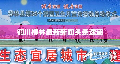 铜川柳林最新新闻头条速递