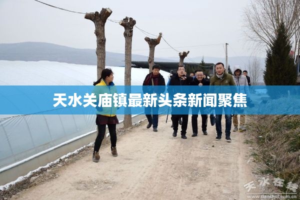天水关庙镇最新头条新闻聚焦