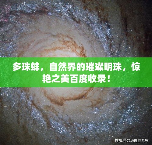 多珠蚌，自然界的璀璨明珠，惊艳之美百度收录！
