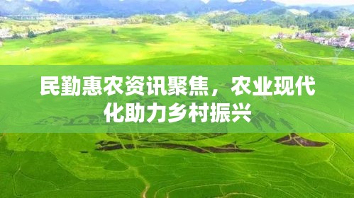 民勤惠农资讯聚焦，农业现代化助力乡村振兴