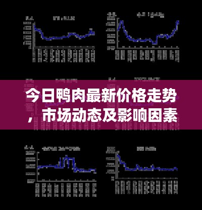今日鸭肉最新价格走势，市场动态及影响因素解析