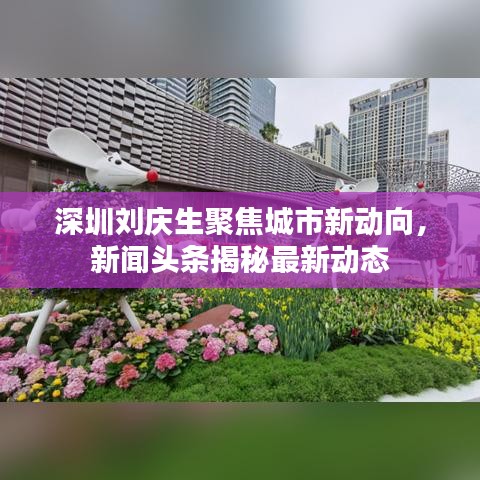 深圳刘庆生聚焦城市新动向，新闻头条揭秘最新动态